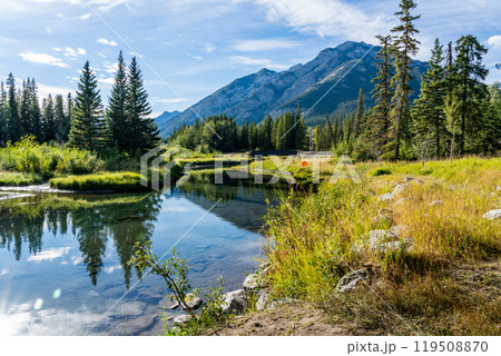 Bow River Trail in summer time. Mount Norquay in the background. Beautiful nature scenery in Banff National Park, Canadian Rockies, Alberta, Canada. 119508870