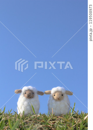 青空と2匹の羊毛フェルトのヒツジと芝生 青空と2匹の羊毛フェルトのヒツジと芝生 119508973