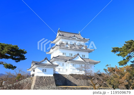 【神奈川県】快晴の小田原城天守閣 119509679