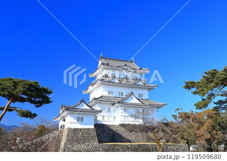 【神奈川県】快晴の小田原城天守閣 119509680