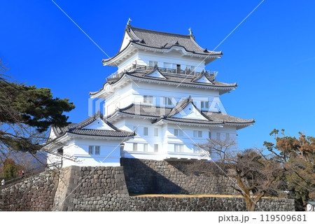【神奈川県】快晴の小田原城天守閣 119509681