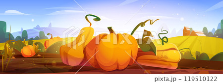 Autumn farm field landscape with ripe pumpkins 119510122