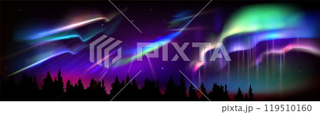 Night landscape with forest and northern lights. Night landscape with forest and northern lights. 119510160