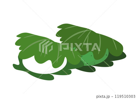 柏餅と、ヨモギの柏餅のイラスト 119510303