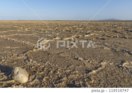 The salt plains of Asale Lake in the Danakil Depression in Ethiopia.  119510747