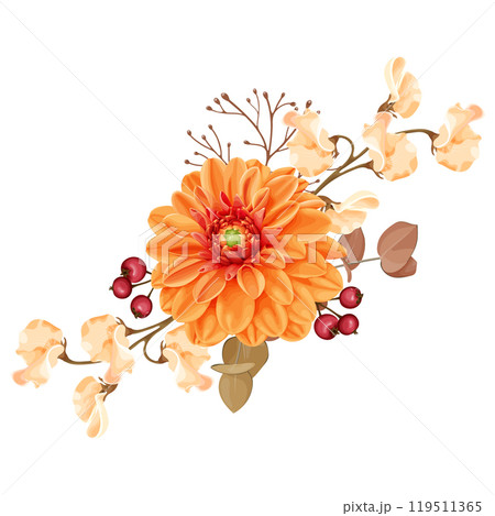 Vector illustration of an autumn bouquet featuring a bright orange dahlia flower, dry twigs, berries, and brown leaves. 119511365