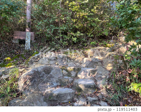 高御位山 成井登山口より十一丁(兵庫県 加古川市) 高御位山 成井登山口より十一丁(兵庫県 加古川市) 119511403