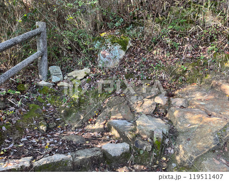 高御位山 成井登山口より十二丁(兵庫県 加古川市) 高御位山 成井登山口より十二丁(兵庫県 加古川市) 119511407