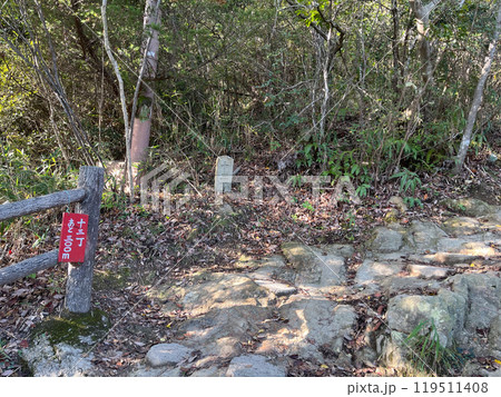 高御位山 成井登山口より十三丁(兵庫県 加古川市) 高御位山 成井登山口より十三丁(兵庫県 加古川市) 119511408