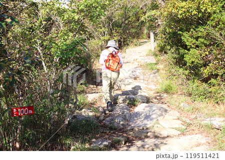 高御位山 成井登山口より十七丁付近（兵庫県 加古川市） 119511421