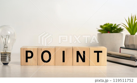 積み木ブロックの文字_POINTと電球 119511752