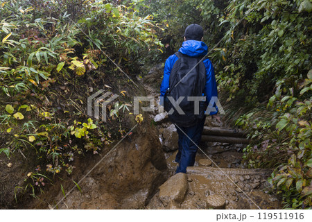 登山をする男の子 119511916