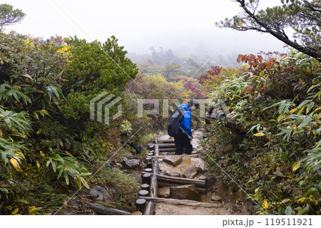 登山をする男の子 登山をする男の子 119511921