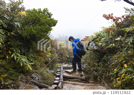 登山をする男の子 119511922