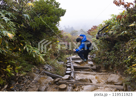 登山をする男の子 登山をする男の子 119511923