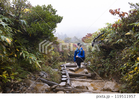 登山をする男の子 119511957