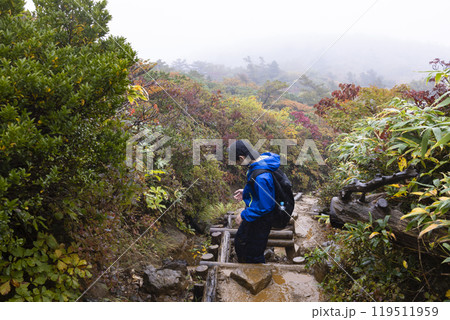 登山をする男の子 119511959