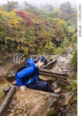 登山をする男の子 登山をする男の子 119511961
