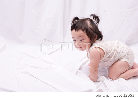 【はいはいを始める髪を結んだ赤ちゃん】 119512053