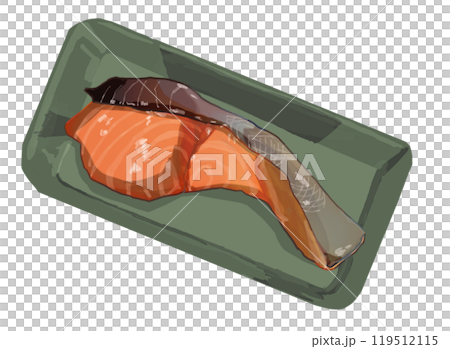 Grilled salmon illustration 119512115