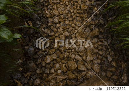 雨の日の登山道 119512221