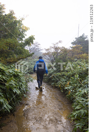 小雨の中、登山をする男の子 小雨の中、登山をする男の子 119512263