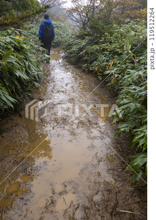 小雨の中、登山をする男の子 119512264