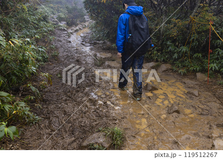小雨の中、登山をする男の子 119512267