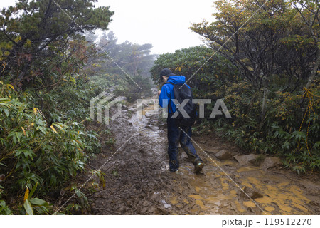 小雨の中、登山をする男の子 小雨の中、登山をする男の子 119512270