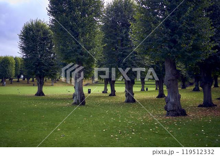 Copenhagen's Frederiksberg Park in early autumn Copenhagen's Frederiksberg Park in early autumn 119512332
