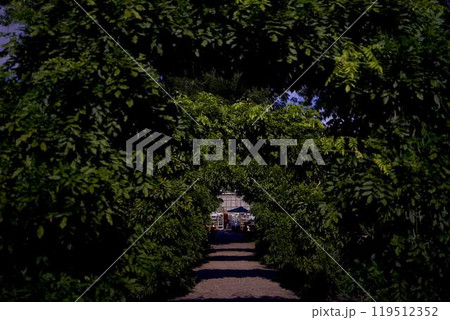 Frederiksberg Park botanical garden, Copenhagen 119512352