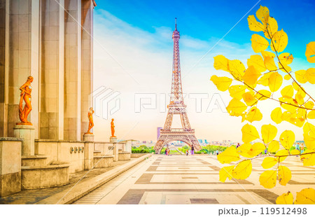 eiffel tour and from Trocadero, Paris 119512498