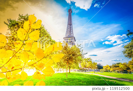 eiffel tour and Paris cityscape 119512500
