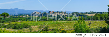 Spectacular Ancient Fortress Of Medieval City Carcassonne And Vineyards In Occitania, Aude, France Spectacular Ancient Fortress Of Medieval City Carcassonne And Vineyards In Occitania, Aude, France 119512621