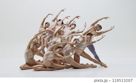 Artistic ballet ensemble in perfect formation. Group of talented and artistic ballet dancer performing with grace and elegance 119513207