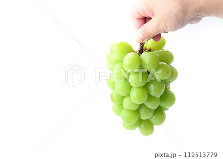 手で持つシャインマスカット 手で持つシャインマスカット 119513779