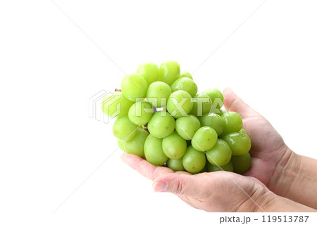手で持つシャインマスカット 119513787