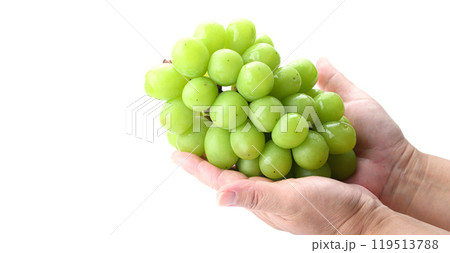 手で持つシャインマスカット 119513788