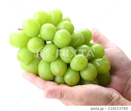 手で持つシャインマスカット 119513789
