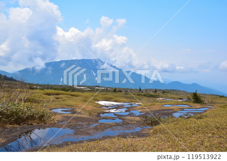 春　立山　弥陀ヶ原 119513922