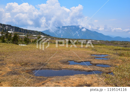 春　立山　弥陀ヶ原 119514116
