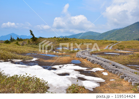 春 立山 弥陀ヶ原 春 立山 弥陀ヶ原 119514424