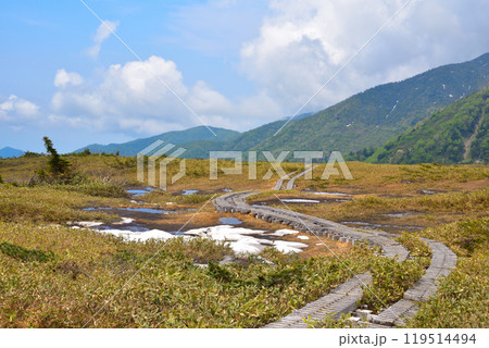 春　立山　弥陀ヶ原 119514494