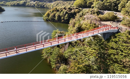 広島県世羅郡【夢吊橋】ドローン空撮_SUMEB_No12 119515056