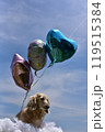 ダックスとバルーン 119515384