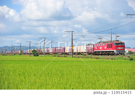 信越本線 前川ー宮内 JR貨物 EF510-15(富山) 信越本線 前川ー宮内 JR貨物 EF510-15(富山) 119515415