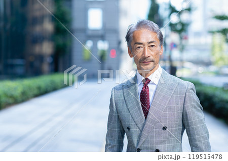 オフィス街を歩くシニアのビジネスマン オフィス街を歩くシニアのビジネスマン 119515478