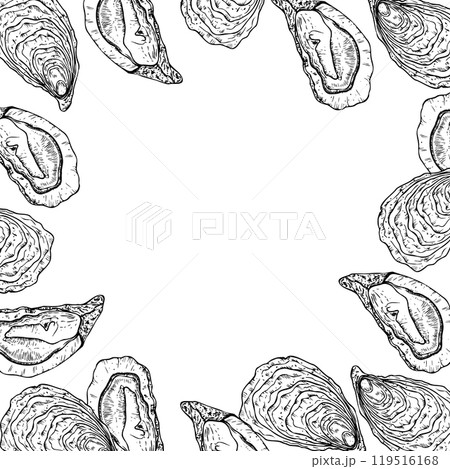 Vector frame with Oysters and scallop. Hand painted line template, seashells. Graphic clip art isolated on background. Underwater illustration. For designers, invitations, decoration, postcards 119516168