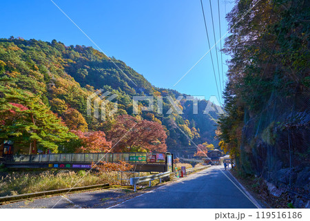 秋の山梨県甲府市の昇仙峡滝上バス停付近の昇仙峡遊歩道(昇仙峡ライン)から南側方面 119516186