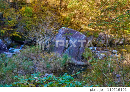 秋の山梨県甲府市の昇仙峡の奇岩(えぼし岩) 119516191